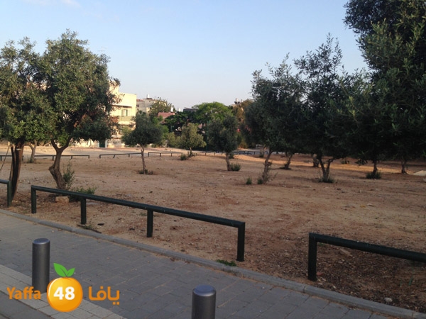 ardjabalaya520 (1).JPG